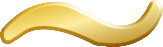 Golden Alphabet Luxury Signature Handwritten Tilde